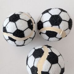 サッカー練習マット（ゼロポジションコントロール室内ギア）の画像