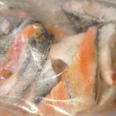 鮭あら1kg(⁠冷凍)　未開封