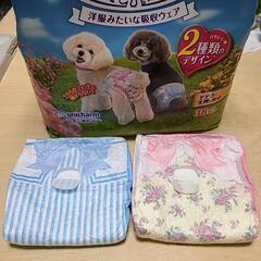 犬  マナーウェア  SS  21枚の画像