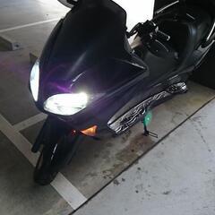 FORZAmf08の画像