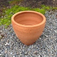 テラコッタ 鉢（20cm）