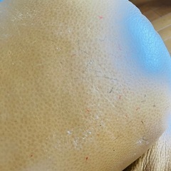 【お取引確定】リクライニングチェアの画像