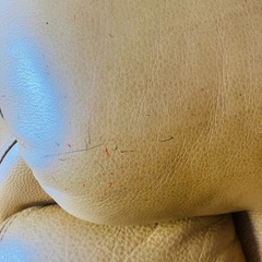 【お取引確定】リクライニングチェアの画像