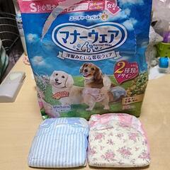 犬  マナーウェア  S  11枚の画像