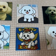 ビジョンフリーゼ　マグネット