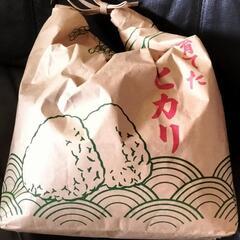 令和6年産 コシヒカリ 3kg 玄米