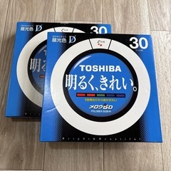 蛍光灯(30ワット)