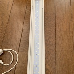 【美品】水作 right up 300 LEDの画像