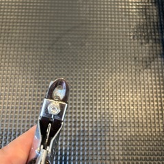 犬の爪切りの画像