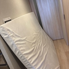 Motton Japan モットンダブルサイズマットレス　W sizeの画像