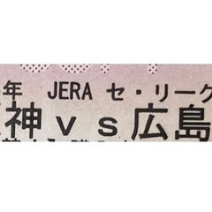 阪神vs広島 甲子園　5/17　土曜　3連番　