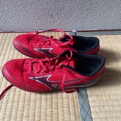 陸上用スパイク　26.5c m
の画像