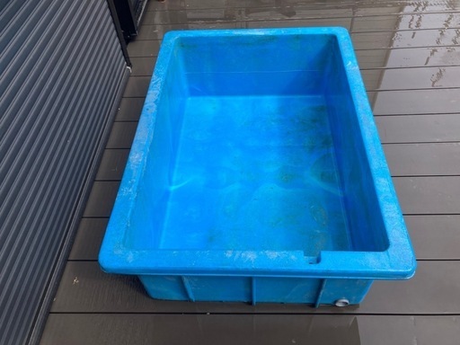 ダイライト300L メダカ金魚飼育