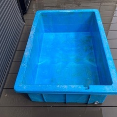 ダイライト300L メダカ金魚飼育