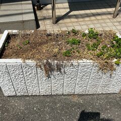 【無料】大型プランター（植木鉢）をお譲りします！※直接お引き取り限定