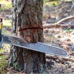 🌱草刈機やチェーンソー🌲電動工具類などなど貸します。 - 千葉市