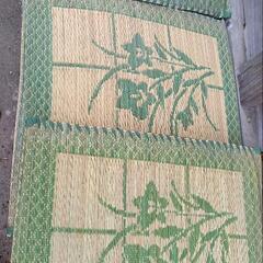 井草の座布団3枚セット　イグサ　和風　の画像