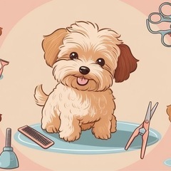 🐶カットモデル犬募集🐶