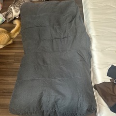 座椅子　ソファ シングル