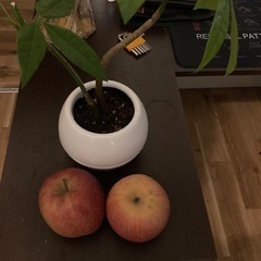 パーソナルリアリティ