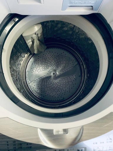 ♦SHARP 電気洗濯乾燥機【2019年製】ES-TX8C-W