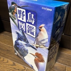 DVD 野鳥図鑑 DVD-BOX