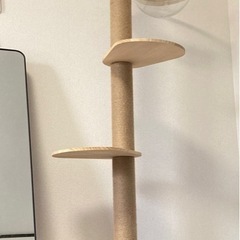 突っ張り型木製キャットタワーとスケルトンベッド