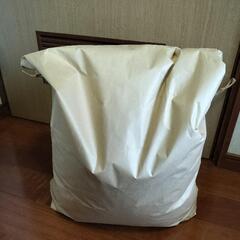 お米 20kg