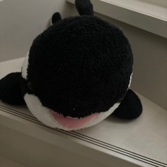 ぬいぐるみの画像