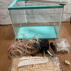 〔お譲り先決定〕水槽セット