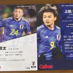 サムライブルー カードの画像