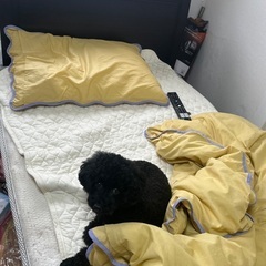 ベッド