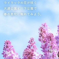 ライラックまつり