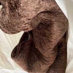 こたつの画像