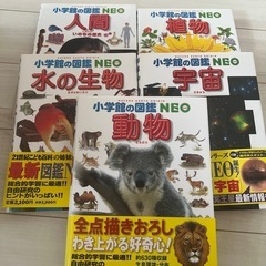 小学館の図鑑NEO 図鑑　セット　絵本