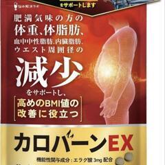 30日分 カロバーンEX エラグ酸 3mg αリポ酸 機能性表示...