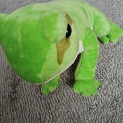 カエル🐸　ぬいぐるみ！！の画像