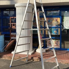 ハセガワ　脚立9段