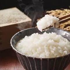令和6年収穫　コシヒカリ 30キロのみ　新米　精米済