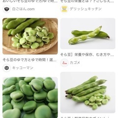 そら豆 