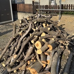 今年切った薪を売ります。紅葉樹のミックスです。