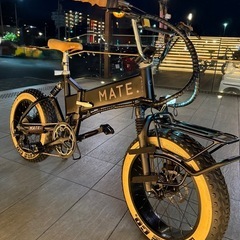 MATE BIKE MATE X 250 カスタム