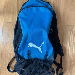 サッカーバッグ PUMA チームファイナル21