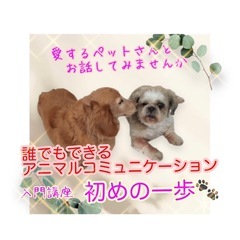 アニマルコミュニケーションを学んでみませんか♡