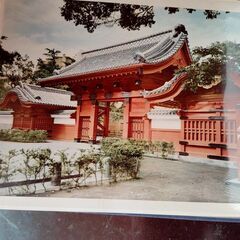 東京大学 その百年 1960年 東京大学出版会 外函付きの画像