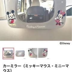 カーミラー赤ちゃんの画像