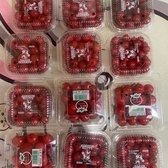ミニトマト　1つ