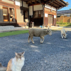 茨城県石岡市で、経理＆事務をお手伝いしてくださる方を募集し…