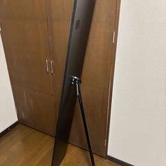 （お譲りします）全身姿見（鏡）