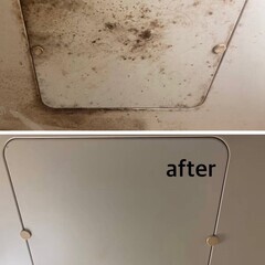 【カビ取り専門】お風呂・天井・壁のカビ除去ならカビゼロにお任せ！調査・見積り無料◎神奈川全域対応 - 平塚市